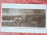Carte postala, Aprovizionarea Armatei in Timpul Razboiului 1877/Grigorescu