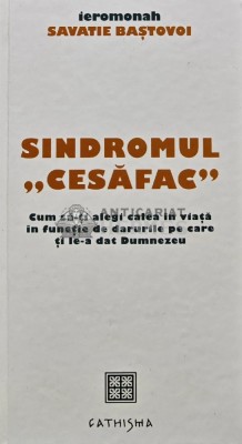 Sindromul &amp;quot;cesafac&amp;quot;. Cum sa-ti alegi calea in viata in functie de darurile pe care ti le-a dat Dumnezeu - 2014 - Savatie Bastovoi (AQ202) foto