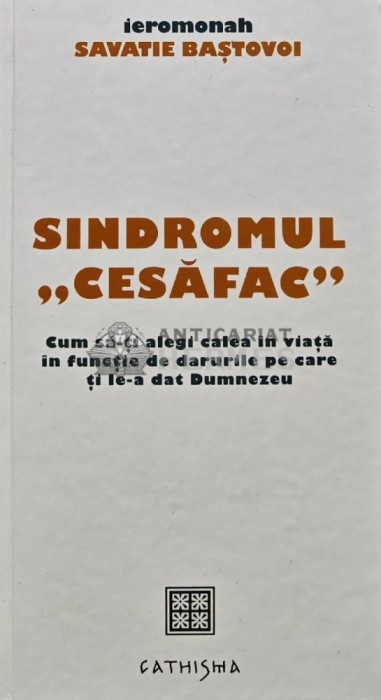 Sindromul &quot;cesafac&quot;. Cum sa-ti alegi calea in viata in functie de darurile pe care ti le-a dat Dumnezeu - 2014 - Savatie Bastovoi (AQ202)