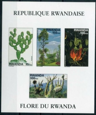 RWANDA 1995 ARBORI FLORI CACTUSI foto