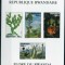 RWANDA 1995 ARBORI FLORI CACTUSI