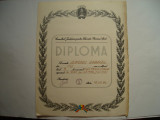 Diploma Consiliul Judetean pentru Educatie Fizica si Sport, 1980