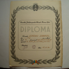 Diploma Consiliul Judetean pentru Educatie Fizica si Sport, 1980