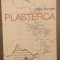PLASTERCA - CALIN TORSAN