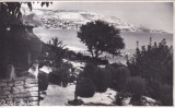 Golful Balcic (necirculata)
