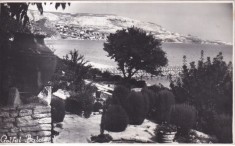 Golful Balcic (necirculata)