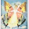 Printesa Fluture, Iulia Hasdeu, Povesti pentru copii, 1972, stare f b