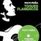 Toques Flamencos [With CD]