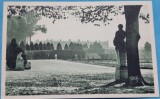 Carte Postala, Parc de Versailles, perioada interbelica
