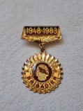 Insigna Brigadier UTC - 35 de ani de la constituirea Santierelor Nationale ale Tineretului