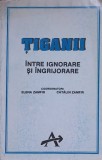 TIGANII INTRE IGNORARE SI INGRIJORARE-COORDONATORI: ELENA ZAMFIR, CATALIN ZAMFIR-226848