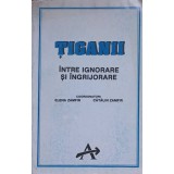 TIGANII INTRE IGNORARE SI INGRIJORARE-COORDONATORI: ELENA ZAMFIR, CATALIN ZAMFIR-226848