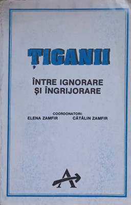 TIGANII INTRE IGNORARE SI INGRIJORARE-COORDONATORI: ELENA ZAMFIR, CATALIN ZAMFIR foto