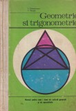 L. Constantinescu, C. Petrisor - Geometrie si trigonometrie. Manual pentru anul