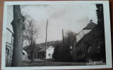 Carte postala, Dognecea, Caras Severin, Banat, 1929