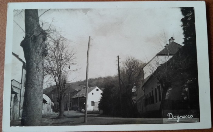 Carte postala, Dognecea, Caras Severin, Banat, 1929