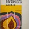 Indrumatorul vopsitorului artistic &ndash; V. Constantinescu
