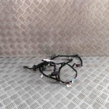 Cablaj Usa Stanga Spate Tesla Model S 2018 OEM 1004425-00-R