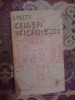 N5 Calea Vacaresti - I. Peltz