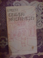 n5 Calea Vacaresti - I. Peltz