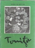 Cumpara ieftin Tonitza (minimonografie)