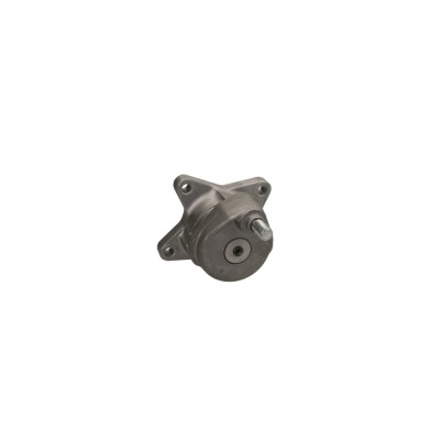 Intinzator curea SSANGYONG REXTON GAB DAYCO APV2245 foto