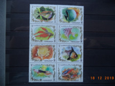 1972 Ajman Mi 1312 - 1319 Fauna marina** Pesti serie in bloc de 8 timbre. foto