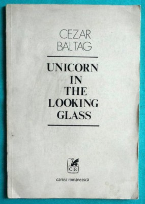Cezar Baltag &amp;ndash; Unicorn in the looking glass foto