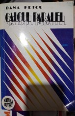 Calcul paralel - Dana Petcu