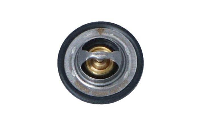 NRF 725089 EASY FIT termostat,lichid racire