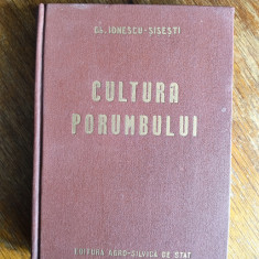 Cultura porumbului - Gh. Ionescu Sisesti / R3P4F