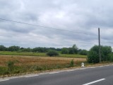 Vind 2 parcele la intrarea in Ruseni (Satu Mare) Strada: 193.