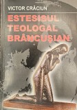 Victor Crăciun, Estesisul teologal Br&acirc;ncușian, 2008, Semne