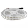 Banda led smd3528 120led/m 6400k ip65 5m, V-TAC