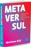 Metaversul si modul in care va revolutiona totul, Publica