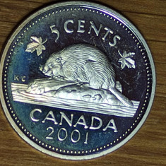 Canada -ultra rara- 5 cents 2001 argint sterling - PROOF - bijuterie de moneda !