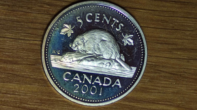 Canada -ultra rara- 5 cents 2001 argint sterling - PROOF - bijuterie de moneda ! foto