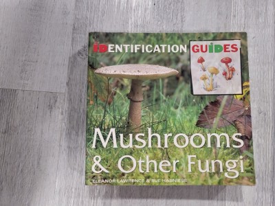 Mushrooms &amp;amp; other fungi. Identification guides foto