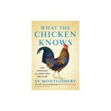 What the Chicken Knows: A New Appreciation of the World's Most Familiar Bird