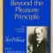 Beyond the Pleasure Principle