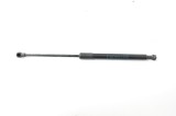 Amortizor capota st&acirc;nga față BMW 3 E90 2007 OEM: 7060550 2868608