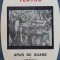 Teatru - Barbu Stefanescu Delavrancea (E126)
