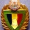 I.371 INSIGNA MILITARA GRANICERI MI ROMANIA RSR PENTRU MERITE IN PAZA FRONTIEREI