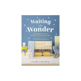 Waiting in Wonder: Growing in Faith While You're Expecting