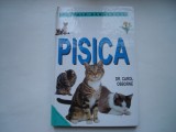 Pisica - Carol Osborne, 2002, Aquila