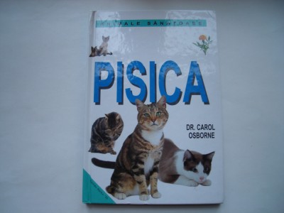 Pisica - Carol Osborne foto