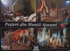Pesteri din Muntii Apuseni foto