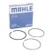 Mahle Set segmenti piston