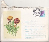 Bnk ip Intreg postal 1964 - circulat - Craite, Dupa 1950