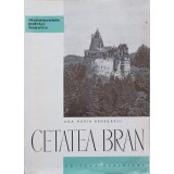 CETATEA BRAN-ANA MARIA HENEGARIU-220952